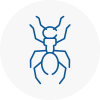 Ant Removals In Ferndown