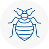 Bed Bug Extermination In Ferndown