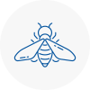 Bee Nest Removal Ferndown