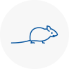 Mice Exterminators In Ferndown