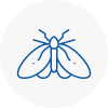 Moth Control Specialists In Ferndown