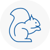 Ferndown Rodent Removals